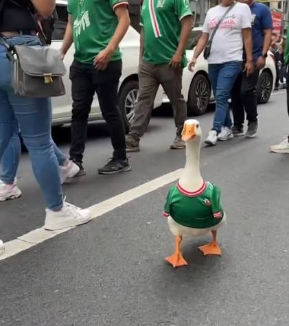 foto de equipo para México